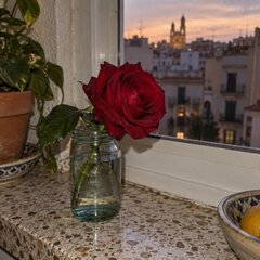 Rosalia_C